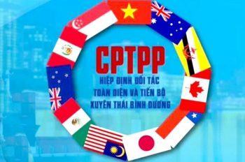 Câu chuyện Sở hữu trí tuệ: Giải pháp giúp các doanh nghiệp bảo vệ nhãn hiệu trong Hiệp định CPTPP