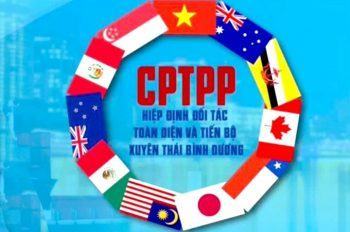 Thông báo về việc thống nhất áp dụng một số quy định tại Hiệp định CPTPP của Cục SHTT