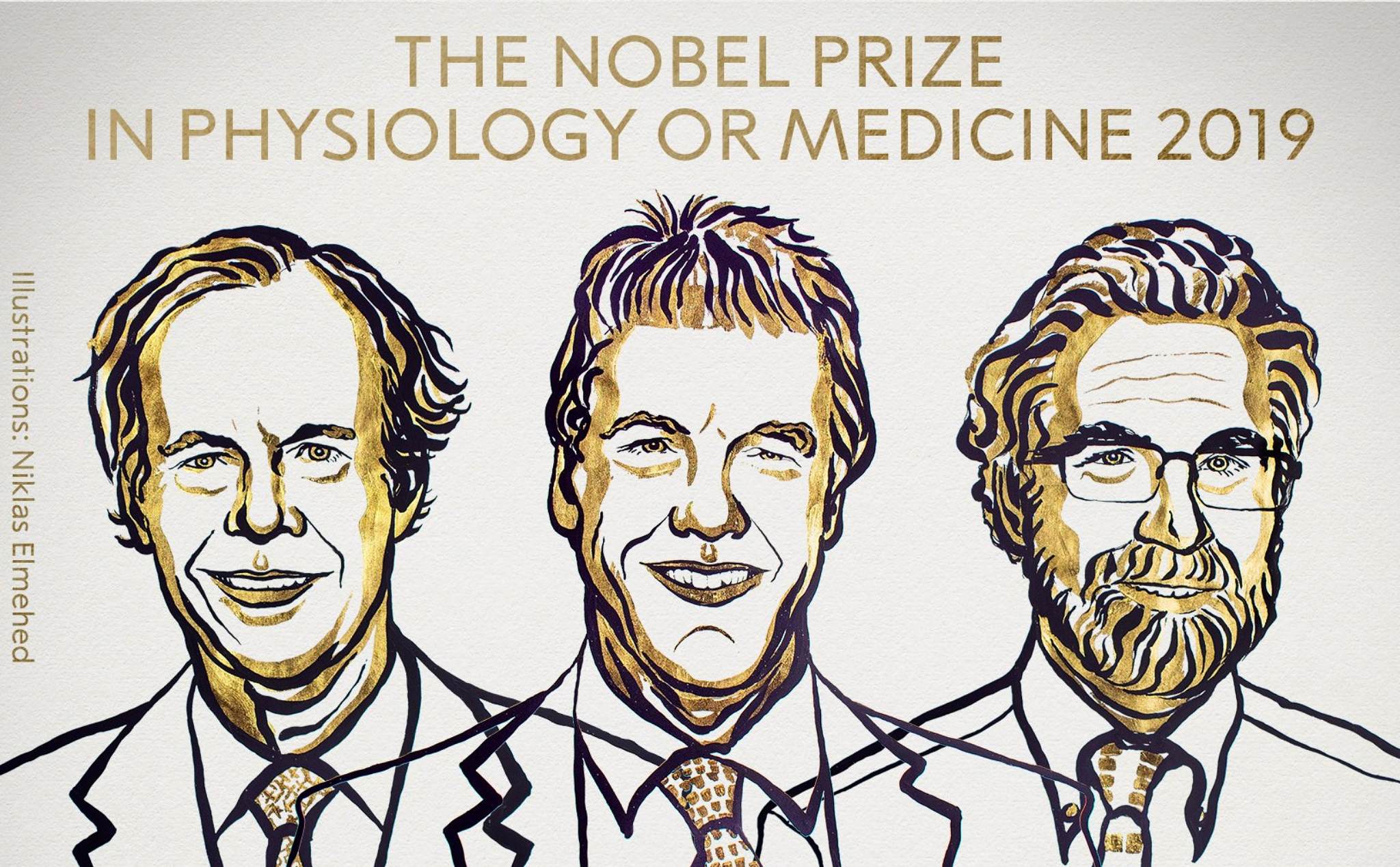 Nobel Y học 2019: hiểu được tại sao người trên vùng cao vẫn sống bình thường dù thiếu oxy