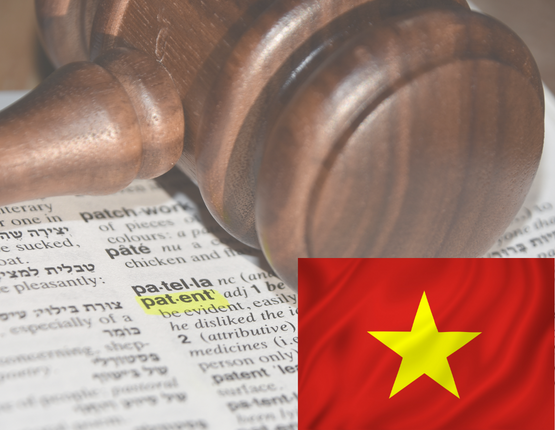 AN OVERVIEW OF VIETNAM PATENT SYSTEM
