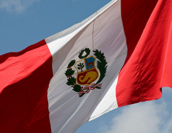 Hướn dẫn đăng ký nhãn hiệu tại Peru