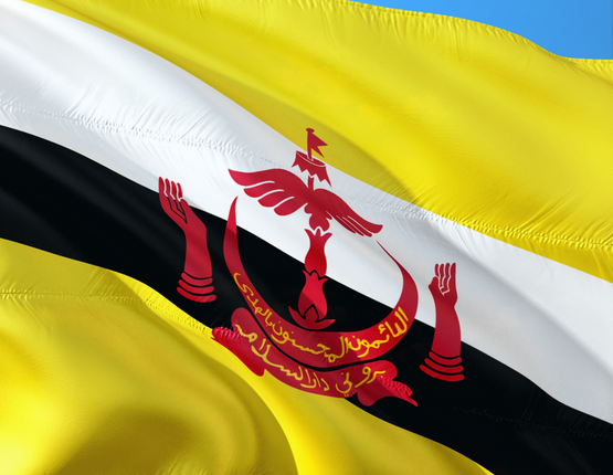 Hướng dẫn đăng ký nhãn hiệu tại Brunei