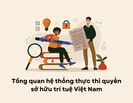 Tổng quan hệ thống thực thi quyền sở hữu trí tuệ Việt Nam