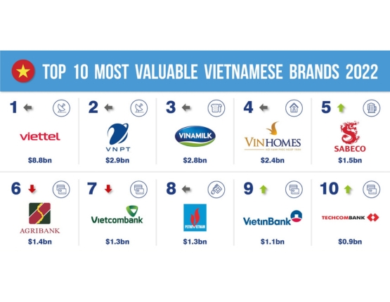 VIETNAM’S TOP 10 BRANDS IN 2023