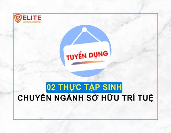 TUYỂN DỤNG THỰC TẬP SINH CHUYÊN NGÀNH SỞ HỮU TRÍ TUỆ