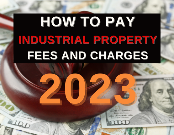 How to pay industrial property fees and charges in Vietnam 2023