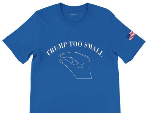 INTA Files Amicus Brief on “TRUMP TOO SMALL” Free Speech Challenge to Lanham Act